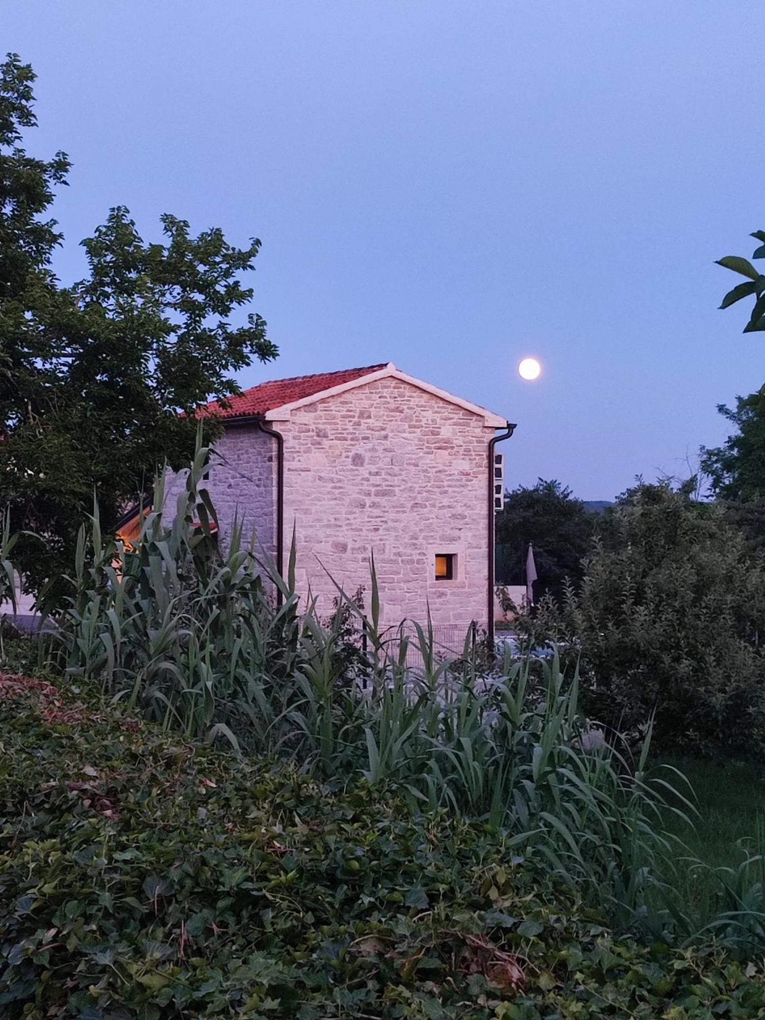 Villa Lita Pazin Kültér fotó